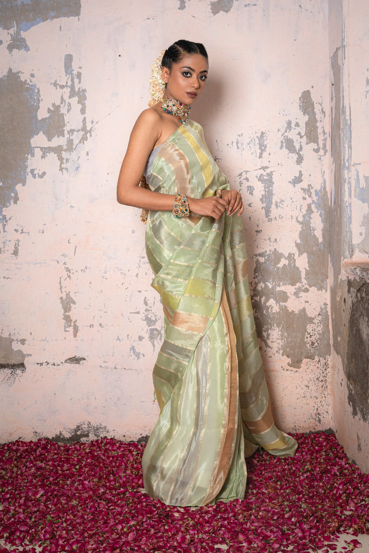 Vibrant Green Rangoli Patta Tissue Silk Saree