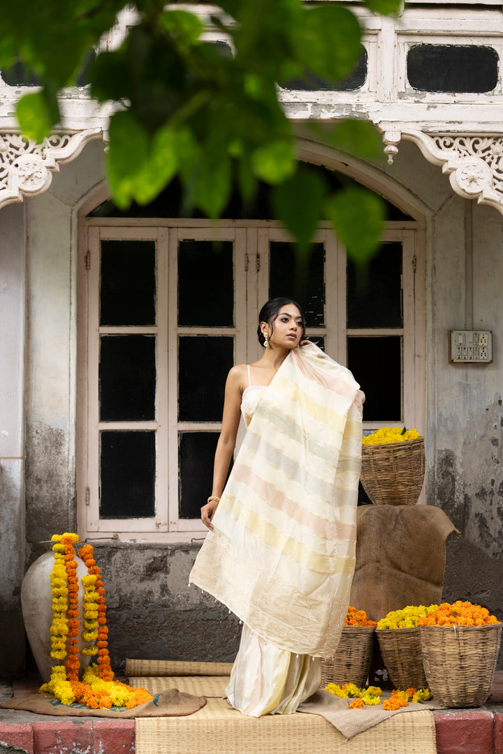 Vibrant Beige Rangoli Patta Tissue Silk Saree